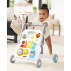 Skip Hop Explore   More Grow Along 4-in-1 Walker Toy