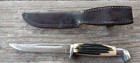 Queen Winterbottom Handle Fixed Blade Knife Vintage Antique