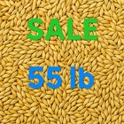 Malt  Grain 55 Lbs Pilsen Malt  Malting Lightest Color Base Malt For Lager