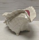 Vintage Atlantic Mold Conch Shell Ceramic Planter Beach Shell Nautical 12x8x6 5