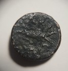 Roman Provincial Augustus 27 Bc - 14 Ad Capricorn Ae Coin Mysia  Cyzicus 15mm