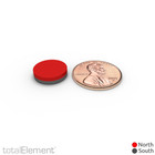 1 2 X 1 8 Inch Strong Neodymium Rare Earth Disc Magnets N52  24 Pack 
