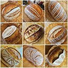 200  Year Old Sourdough Starter  Appalachian  Live Sourdough Starter  Recipes