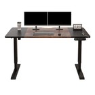 Modernchamp 55  Height Adjustable Standing Desk-20w Type-c Fast Charging Port