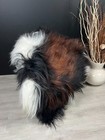 Xxxl Sheepskin  Premium Genuine Exquisite Beautiful Natural Rug Pelt Throw Pet