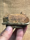 Excellent Dug Civil War Artillery Parrot Shell Base Complete With Brass Sabot