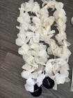 Spacex Employee Party Memorabilia