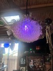 New 11-12    Pufferfish Lamp W color Changing Led Tiki Bar Oceanic