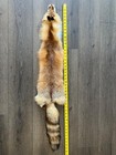 Tanned Red Fox Pelt Hide 42 To 44 Inches
