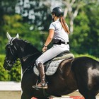2 Pack Equestrian Belt Black Brown 41 3 X 1 5 Inch