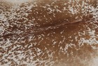 New Cowhide Rugs Area Cow Skin Leather 19 48 Sq feet  55 x51   Cow Hide U-1067