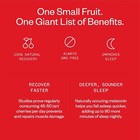 Cheribundi Original Tart Cherry Juice - 50 Tart Cherries Per 8 Oz Serving-12pack