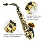 Saxophone Alto Eb Black Lacquer Sax Full Kit With Mouthpiece straps  Reeds
