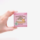Pusheen Surprise Places Cats Sit Series  3 Keychain - One Blind Box