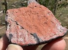       rr        Colorful Triassic Fossil Scute From Northeast Az  3 5 Oz      