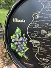 Vintage 11    State   Flower Travel Souvenir Tin Metal Tray Plate    illinois