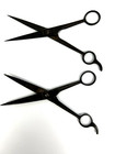 Vtg Frank Hess And Kidd Delhart 7  Scissors - Lot Of 2