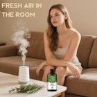 Rosemary Essential Oil For Diffuser Massage rosemary Oil 16 Fl Oz Rosemary