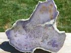 Tcr Burro Creek Agate jasper lapidary Polished Slab 379 Grams