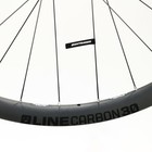 Bontrager Line Carbon 30 Front Wheel  29  Boost 110mm Disc