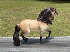 Breyer Horse  1885 Cossaco Buckskin Anamar