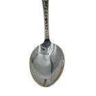 Rock Of Ages Carlsbad Caverns Souvenir Spoon Pierced Handle Us State Collectible
