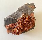 Vanadinite Crystal Cluster On Matrix  Orange  Old Yuma Mine  Pima Co   Arizona