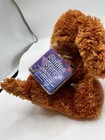 Shining Stars Irish Setter Plush 2006 Irish Eyes Shamrock Dog Russ Berrie Sealed