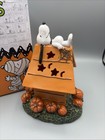 Peanuts Snoopy Halloween Led Light Up Doghouse Pumpkins Decor New - See Video 
