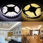 Dc 12v 5m Smd Rgb 5050 3528 5630 300leds Cold warm White Strip Light Waterproof