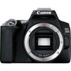 Canon Eos Rebel 250 Digital Slr Camera   18-55   Ef 50mm F 1 8 Stm Lens Kit