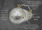 15lb Oval Downrigger Ball  Hand Crafted In The Us By Down Riggers Llc