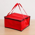 Insulated Pizza Delivery Bag     Thermal Food Takeout Lunch Picnic Carrier