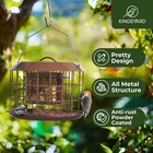 Kingsyard Squirrel Proof Suet Feeder  Cage Bird Feeders For Outdoors Brown