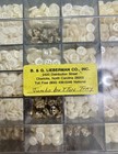 Buttons Box Of Hundreds Of 4 Hole In Plastic Box B g Lieberman Co   Inc Vintage