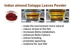4x25 G Indian Almond Catappa Leaves Colorful Powder For Betta Aquatic Fish Care
