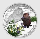 2016 Canada  20 Dollars 9999 Silver Coloured 1 Oz  Coin - Baby Woodchuck
