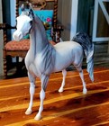 Peter Stone Arabian Horse Equilocity 2009 Lsq Nan d 50 Produced 