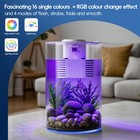 3 Gallon Fish Tank Aquarium Starter Kit With Filter And Led Light betta Fish Tan
