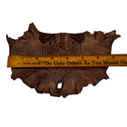 Bufo Marinus Cane Toad Skin Taxidermy Dyed Leather Glossy Mushroom