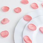 400 Dusty Rose Silk Rose Petals Matte Artificial Flowers Table Confetti Party