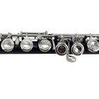 16 Hole C Key Flute Black Closed Hole Nickel Plated Flute With Case Accessories