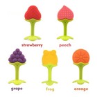 Baby Teething Toys - Natural Organic Freezer Safe Teether Set With Pacifier C   