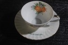Vintage California Souvenir China Tea Cup And Saucer  87 