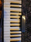 Vintage Accordian With Case 