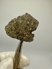 Nwa 17756 Ll3 Meteorite 12 2 Gram Full Slice  subtype 3 3  W Abundant Chondrules