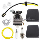 Carburetor For Thunderbay Y43 Auger Power Head Y2007 Mini Cultivator 430025 Carb