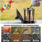 Squirrel Proof Hanging Bird Feeder - Attract Wild Birds Chickadees Goldfinches
