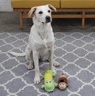 Petstages Stuffing Free Monkey Squeaky Plush Dog Toy Durable Small Pet Chew Toy
