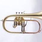 Brand New Professional Bb Flugelhorn Gold Lacquer Yellow Brass Bell With Case